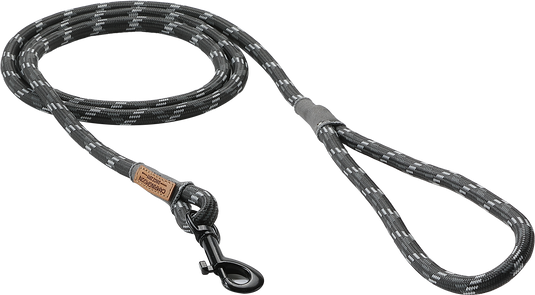 PS-160 Outdoor Dog Leash