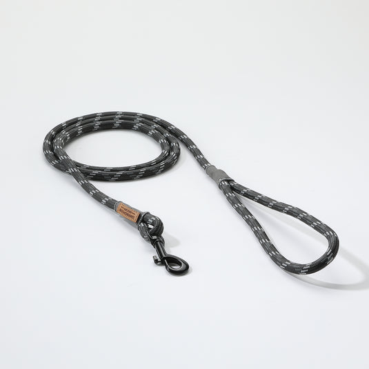 PS-160 Outdoor Dog Leash