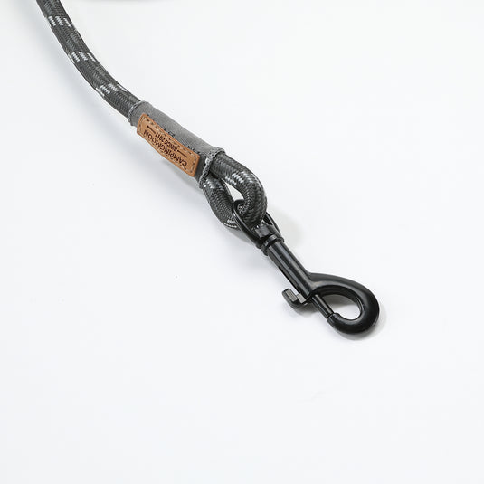 PS-160 Outdoor Dog Leash