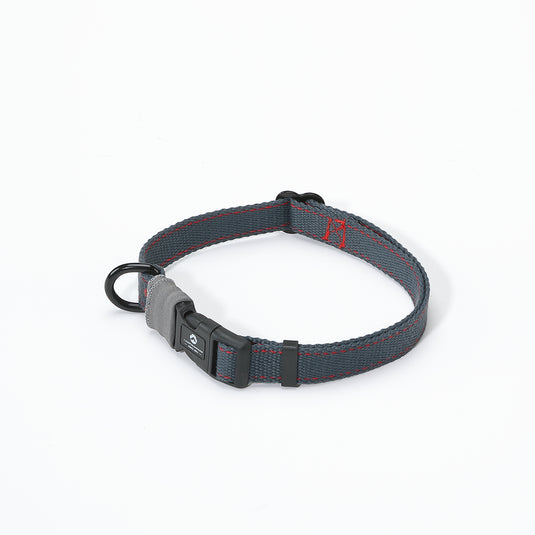 PS-160 Outdoor Dog Leash