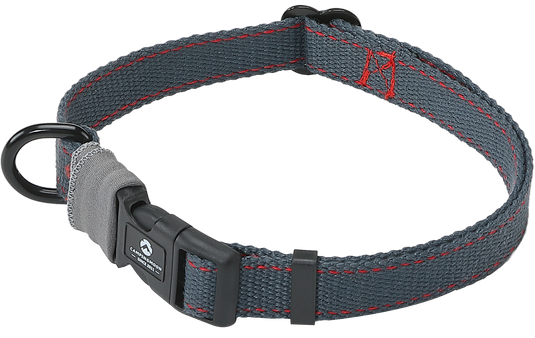 PS-160 Outdoor Dog Leash