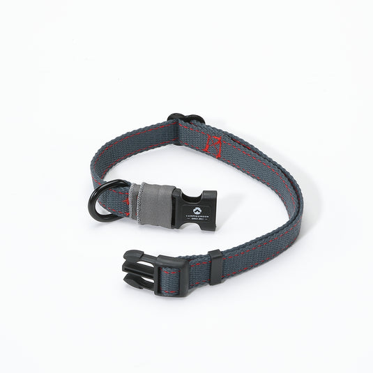 PS-160 Outdoor Dog Leash