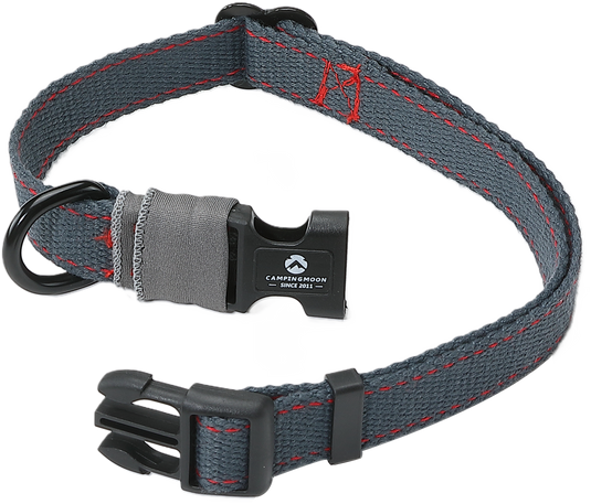 PS-160 Outdoor Dog Leash