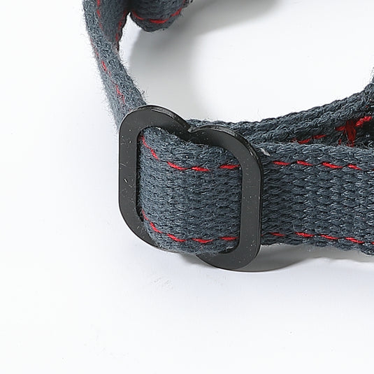 PS-160 Outdoor Dog Leash