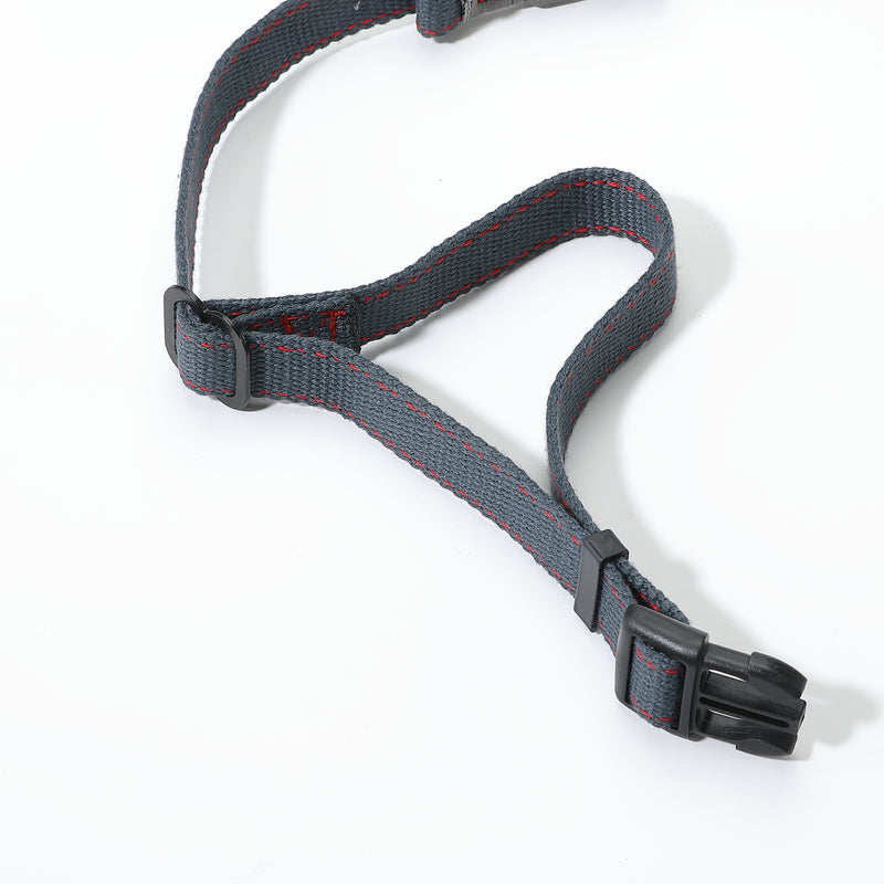 Laden Sie das Bild in Galerie -Viewer, PS-160 Outdoor Dog Leash
