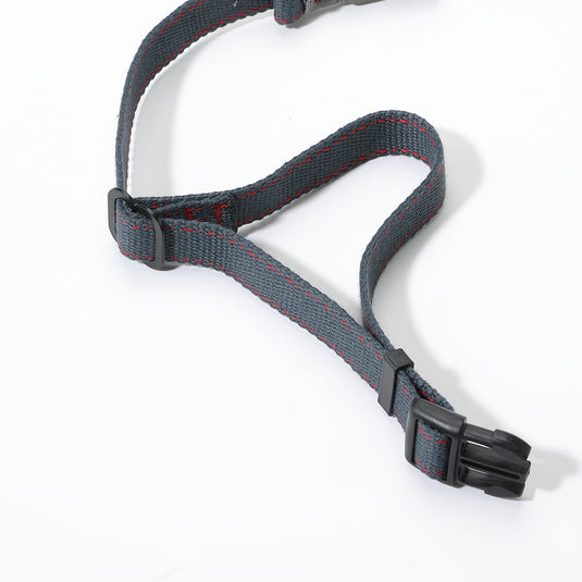 PS-160 Outdoor Dog Leash