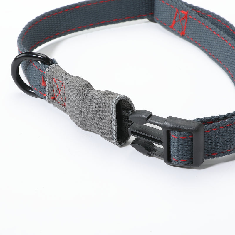 Laden Sie das Bild in Galerie -Viewer, PS-160 Outdoor Dog Leash
