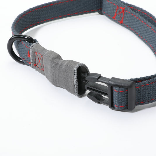 PS-160 Outdoor Dog Leash