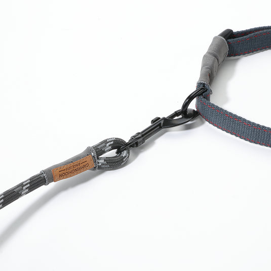 PS-160 Outdoor Dog Leash
