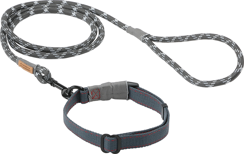 Laden Sie das Bild in Galerie -Viewer, PS-160 Outdoor Dog Leash
