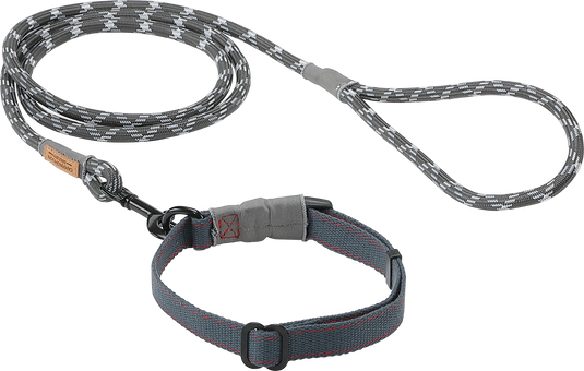 PS-160 Outdoor Dog Leash